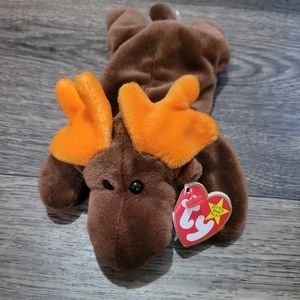 Chocolate the moose from 1993